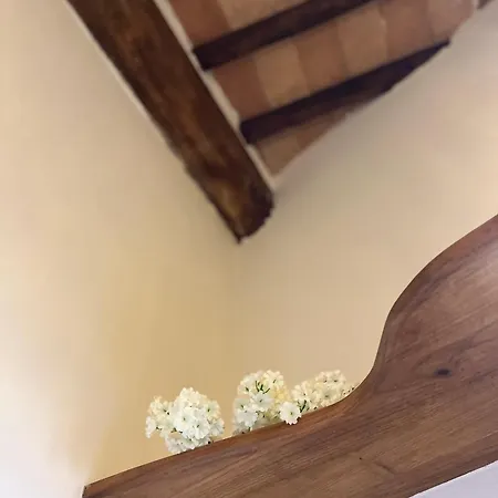 Il Girasole Storico *