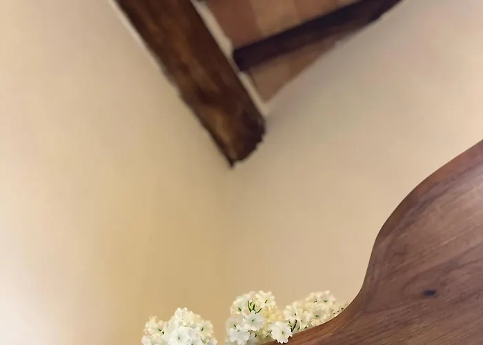 Il Girasole Storico *